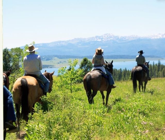 Horseback Riding for Two